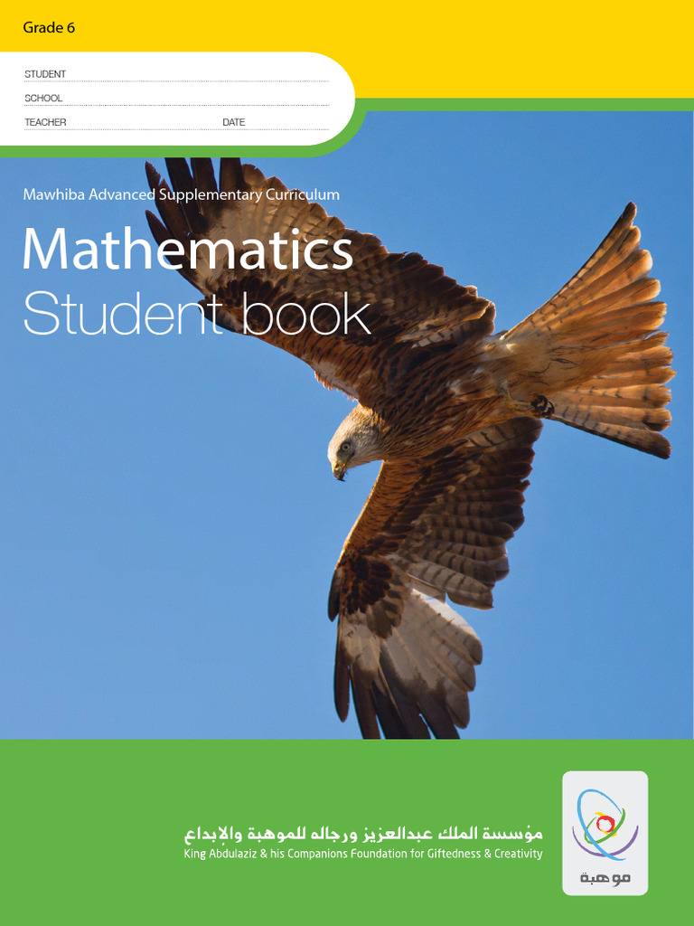 Maths Grade 6 Student English | PDF