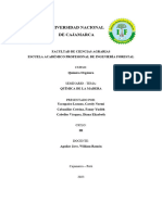 Informe de Química de La Madera