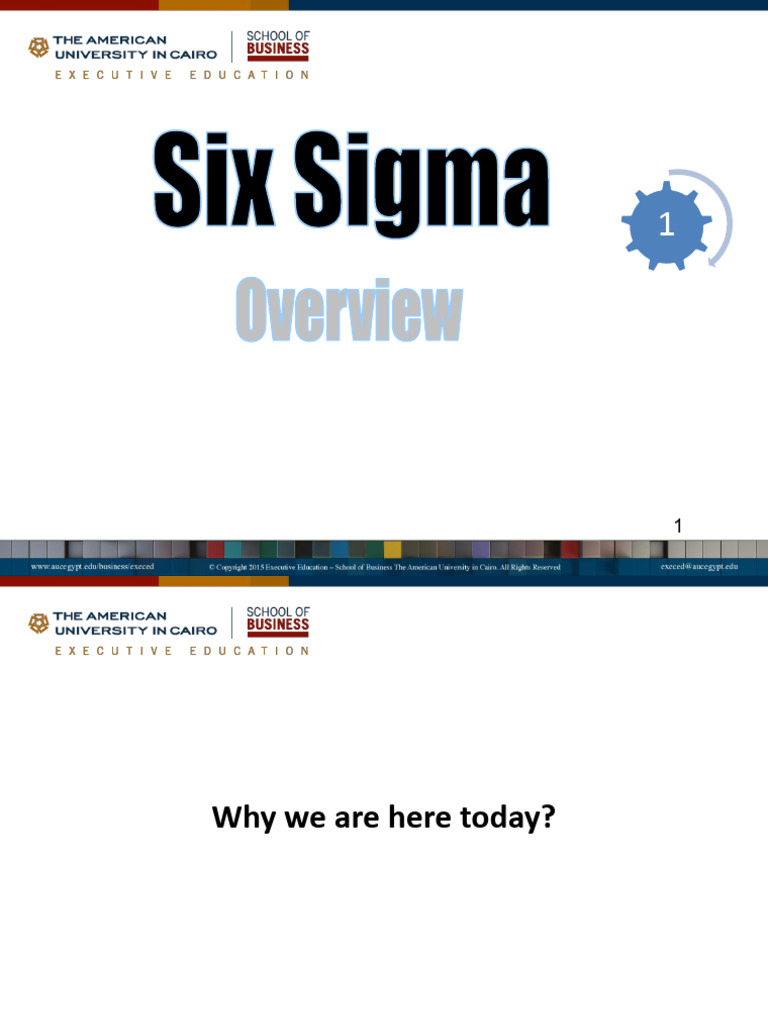 1 - Six Sigma Introduction | PDF