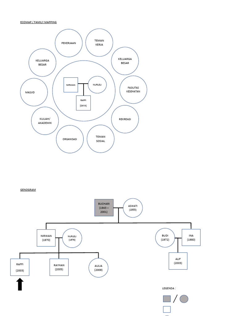 Genogram Ecomap PDF