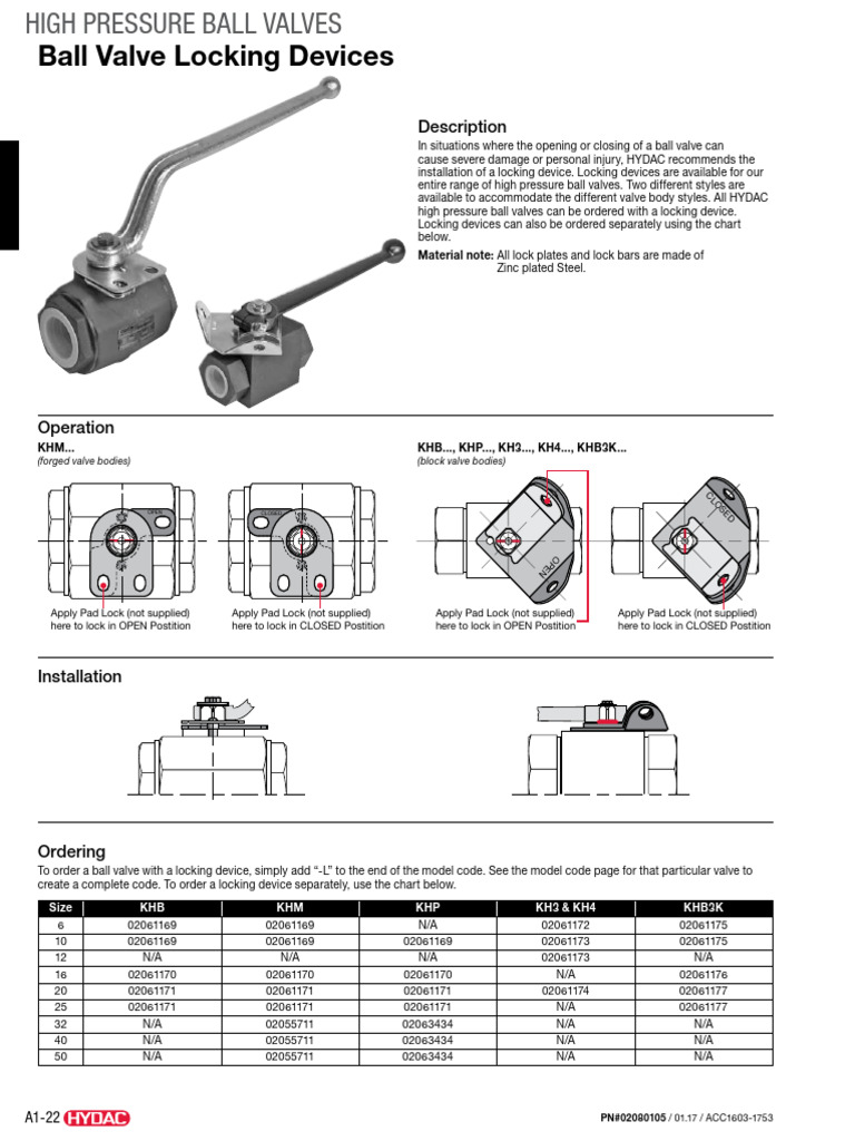 Locking Devices and Limit Switches PDF