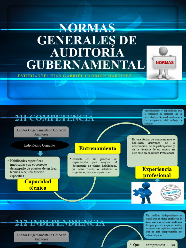 Normas de Auditoría Gubernamental | PDF