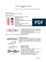 7.contracción Muscular y Tipo de Músculos