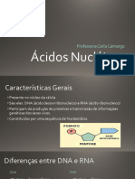 Ácidos Nucléicos