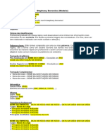 Modelo Curriculo - SB