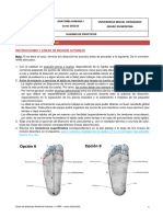 Guion P10 Anatomía Humana I