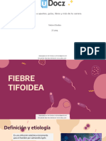 Fiebre Tifoidea 232028 Downloable 2517443