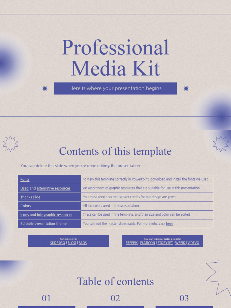 Professional Media Kit by Slidesgo PDF