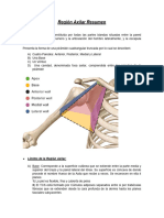 Región Axilar Resumen Prrre