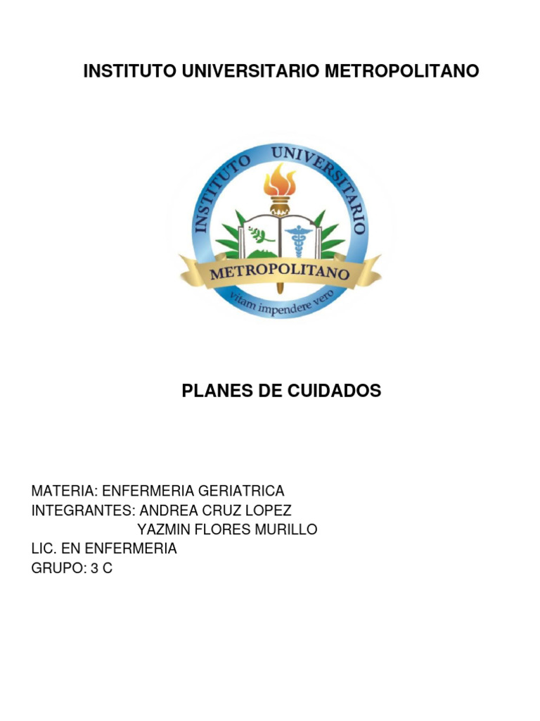 Formato Plan de Cuidados | PDF | Cuidado de la salud | Enfermedades y ...
