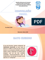 Convulsion Febril Seminario 2023 DEFINITIVO PDF