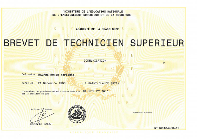 Diplôme BTS Communication 2024 | PDF | France | Qualifications