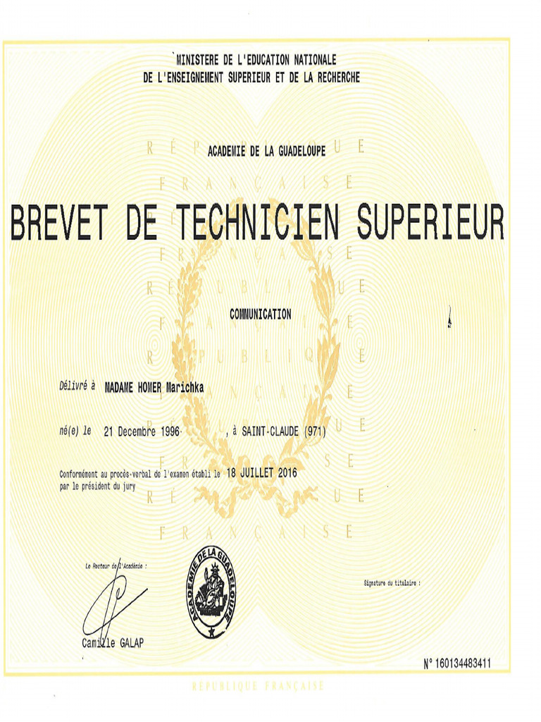 Diplôme BTS Communication 2016 | PDF