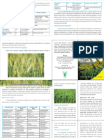 Weed Management Wheat (English) - Folder