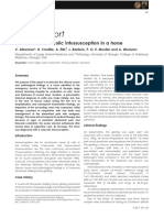 A Case of A Colocolic Intussusception in A Horse