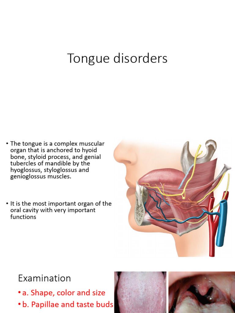 Tongue 5th Year Sanaa U | PDF | Foreign Language Studies | Science ...
