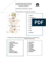 Actividades de Aprendizaje Del Sistema Endocrino.