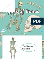 Types of Bones Powerpoint Ver 1