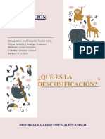 ppt derecho animal nuevo