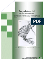 Esqueleto axial: crânio, coluna e ossos torácicos