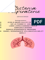 Infografia Escolar Educativa Rosa Pastel