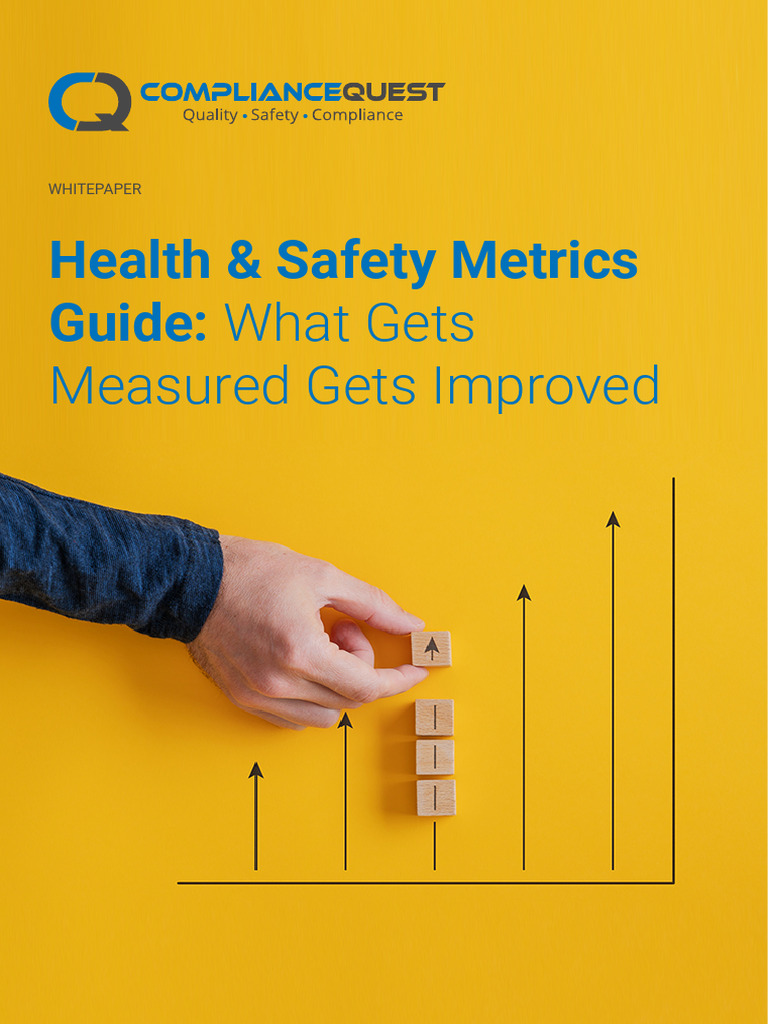 healthsafetymetricsguide PDF Performance Indicator