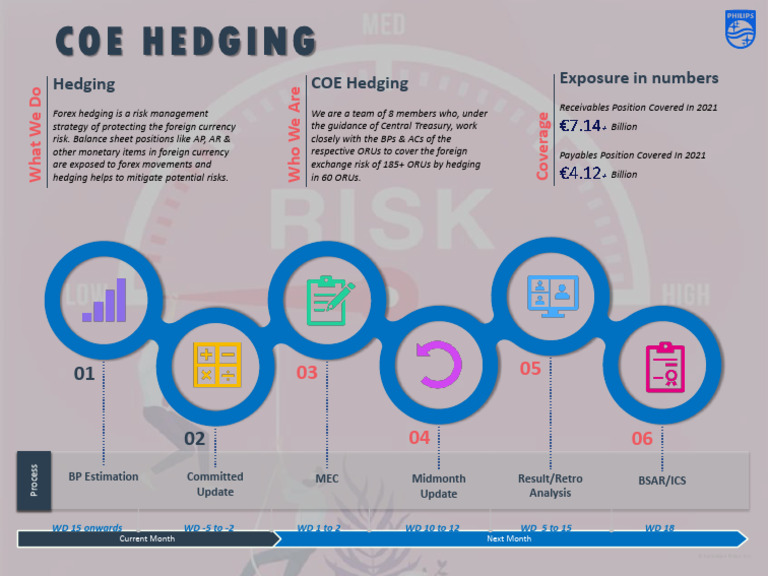 Hedging COE Process Flow PDF