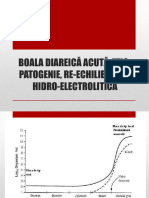 Prezentare Boala Diareica Acuta-Etiologie, Patogenie, Reechilibrare Hidroelectrolitica