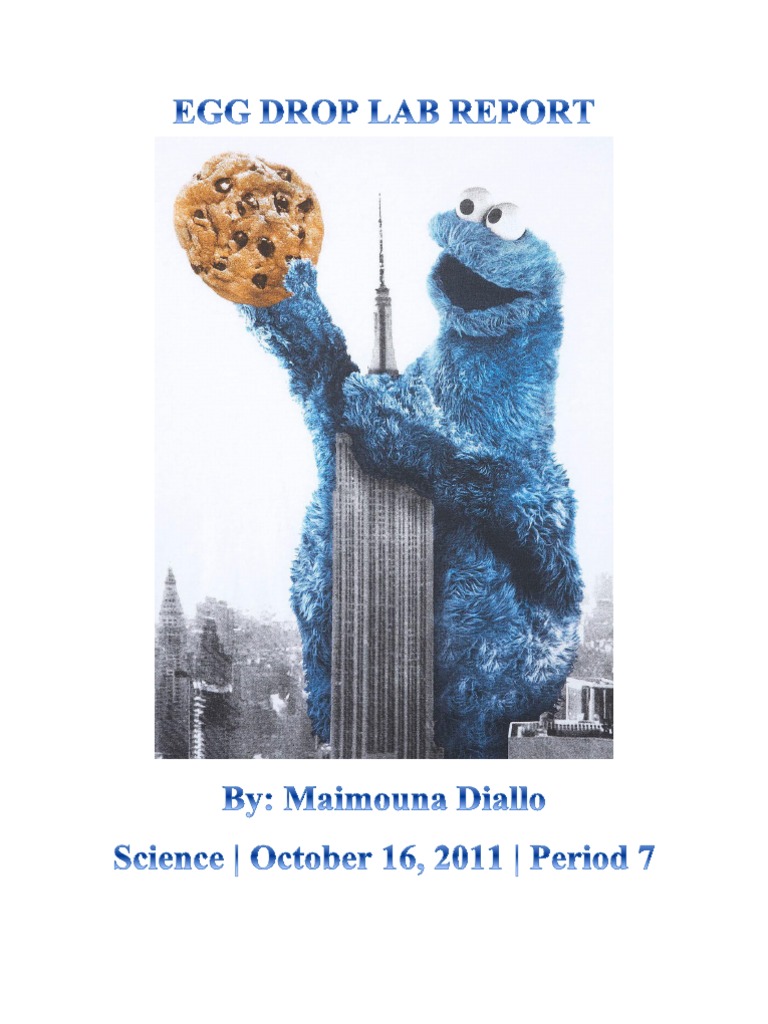 Egg Drop Lab Report PDF Potential Energy Force