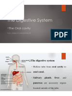 Lab.9 The Oral Cavity Cont. 2