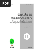18 Galinha Caipira
