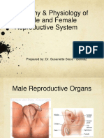 Femalereproductiveorgan 150117083020 Conversion Gate01