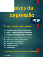 Raizes Da Depressao