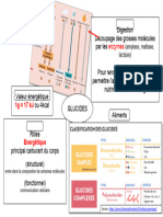 Fiche Synthèse Glucides?