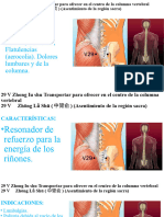 29 V Zhōng Lǚ Shū (中膂俞) Transportar para ofrecer en el centro de la columna vertebral