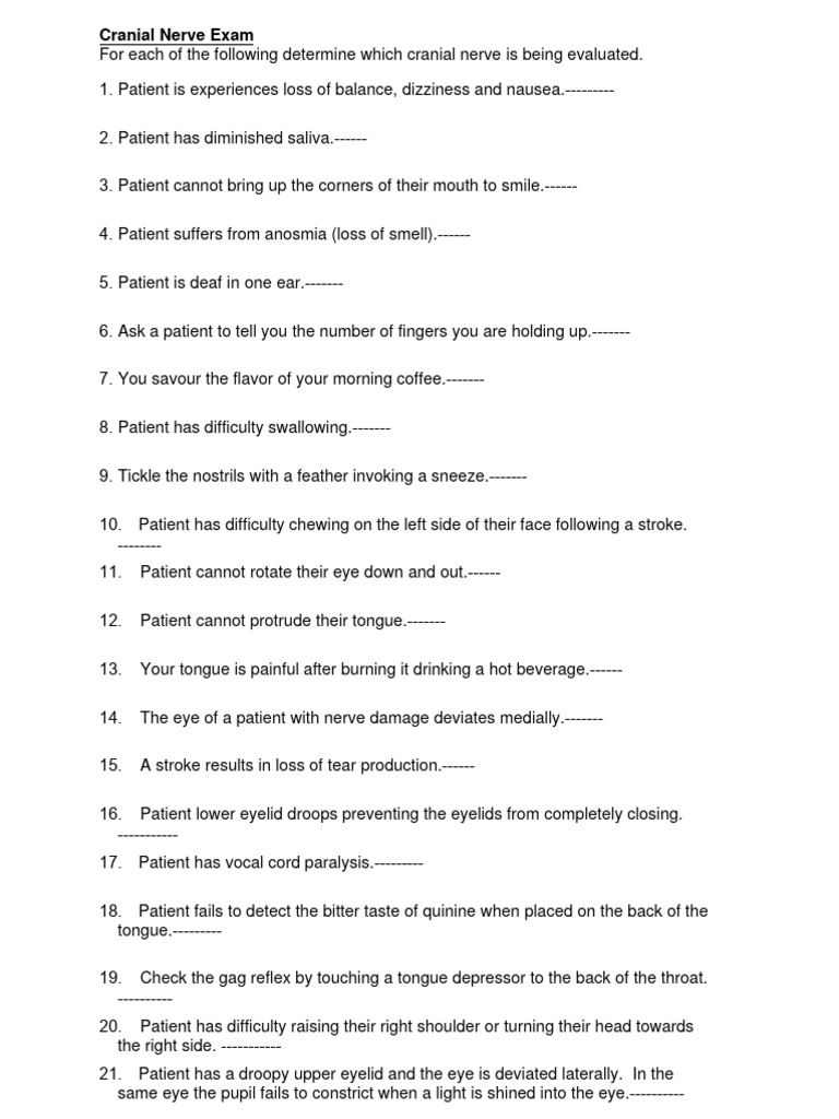 Cranial Nerves Quiz Labeling
