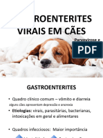 Gastrenterites em Caes PDF
