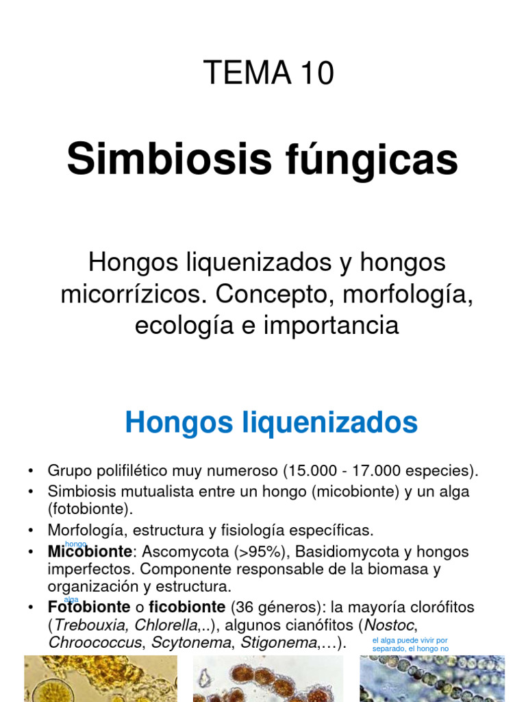 Tema10 - Simbiosis Fúngicas | PDF | Hongo | Biología