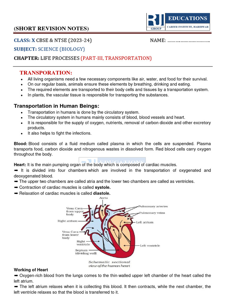 Notes_Life processes_Transportation_C-X - PART-III | PDF