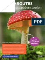 RouteTop10 Paddenstoelen