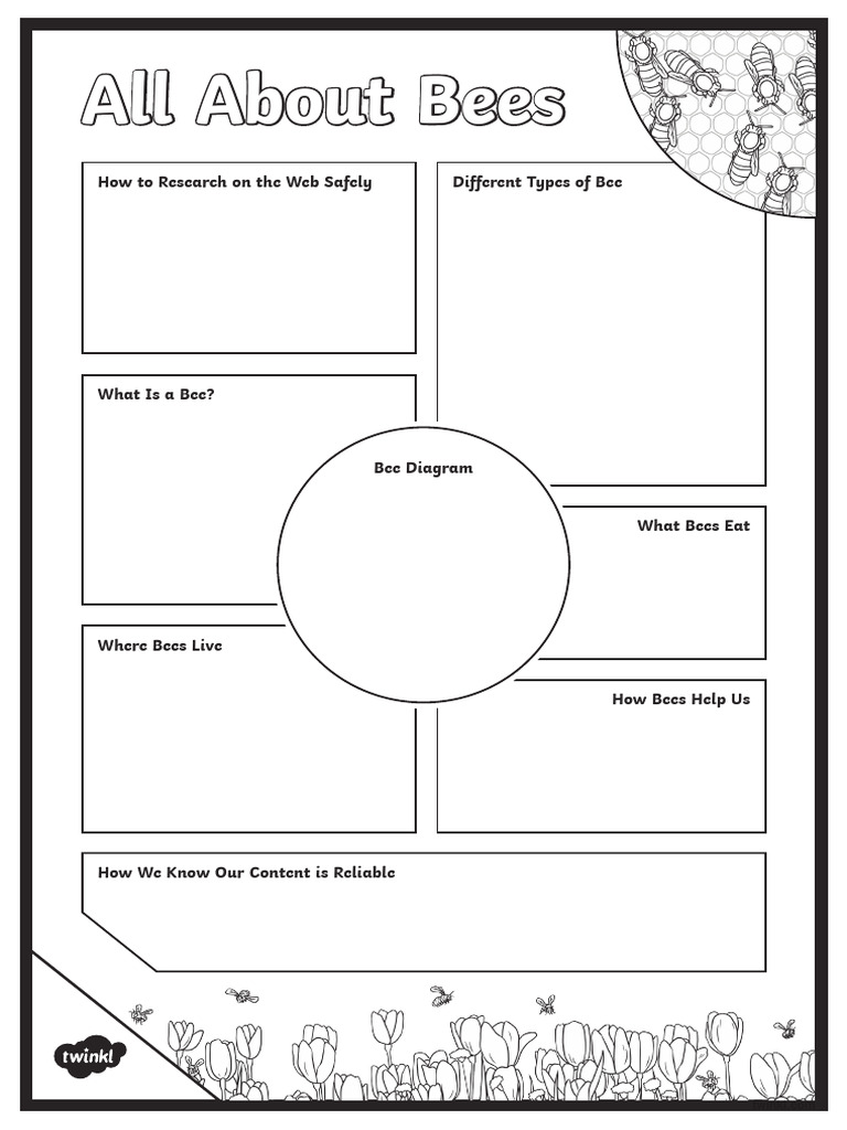 A3 Template | PDF