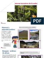 10mo - La Diversidad Ecosistemas Del Ecuador - Tarea