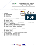 FT SI M1.1.2. Gâmetas e Gametogénese