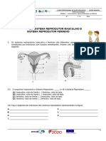 M1-Sistema Reprodutor Masculino E Sistema Reprodutor Feminino