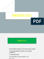 PRÓSTATA