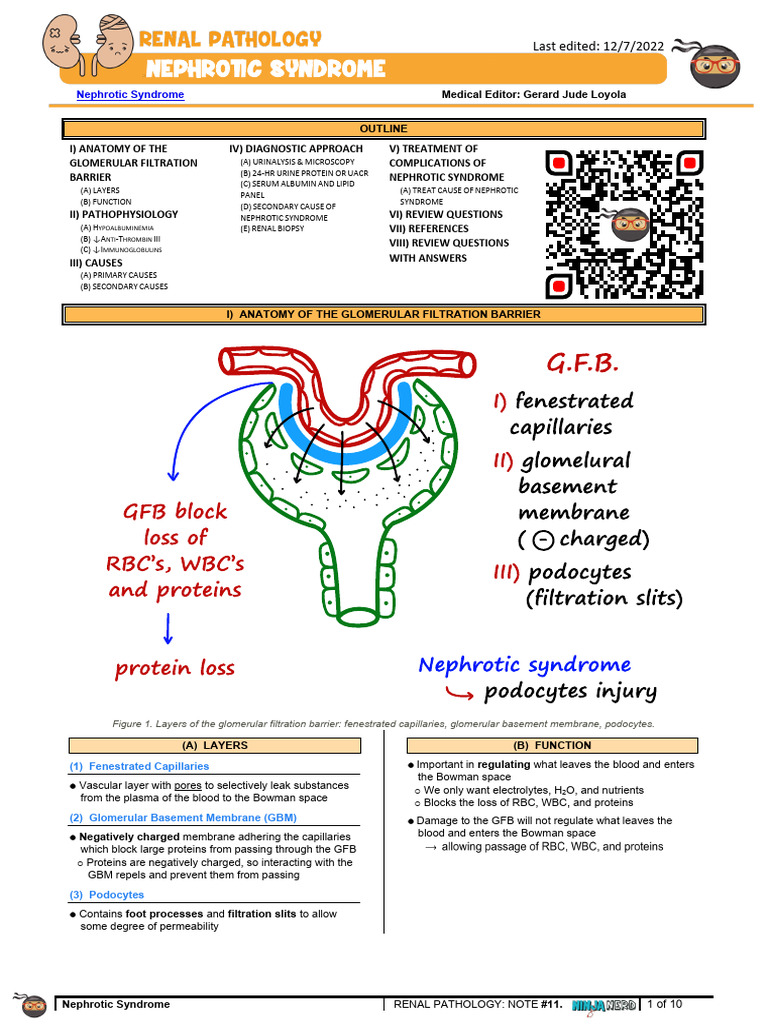 Renal Pathology 012) Nephrotic Syndrome (Notes) PDF Nephrology