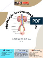 Physio GRD FCT Cours 6 Syst Renal