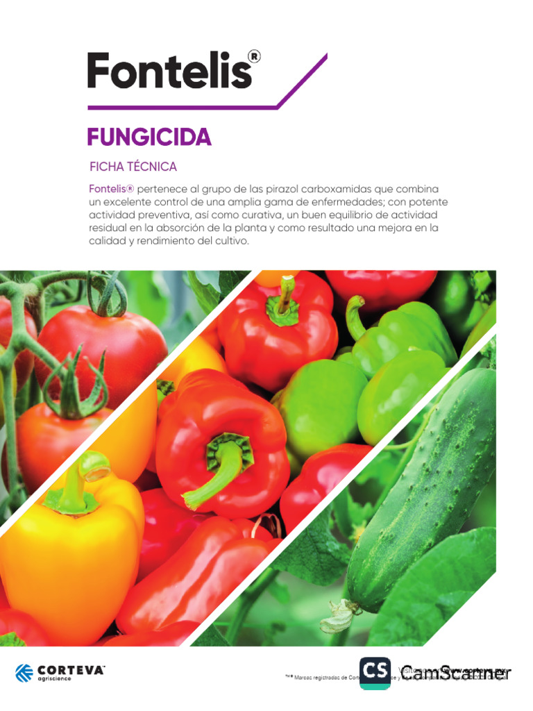 F.T. Fontelis 2023-3-2-20231 | PDF | Plantas | Botánica