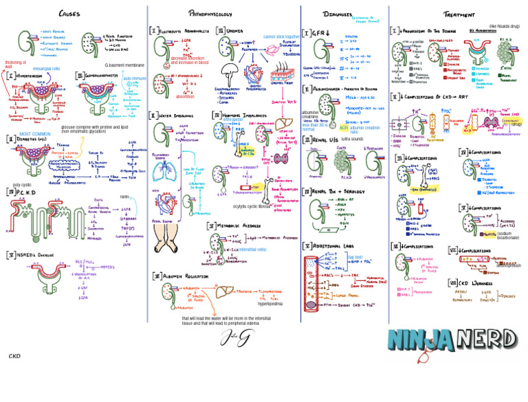 Acute Lymphoblastic Leukemia Insights | PDF | Chronic Kidney Disease ...