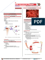 342 - Hematology Physiology) Erythropoiesis Red Blood Cell Formation